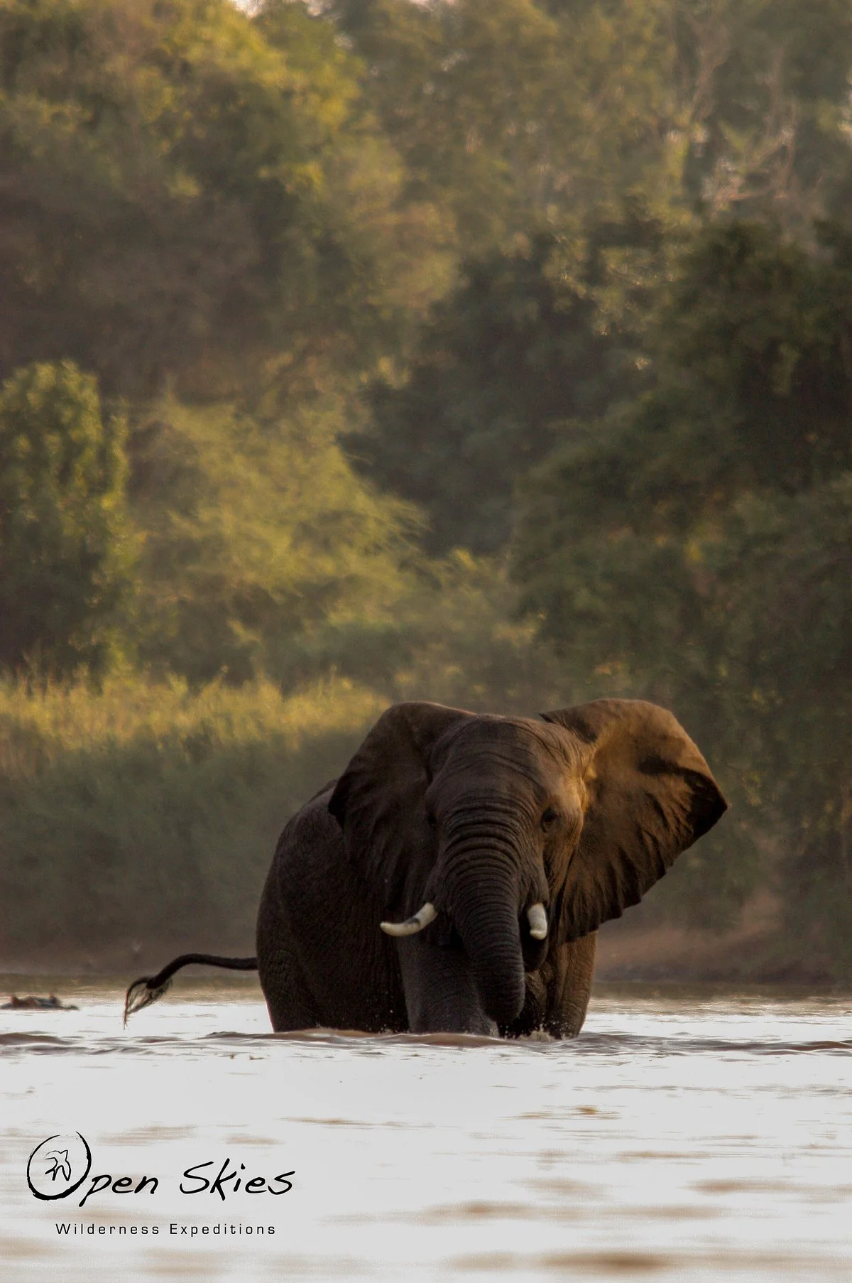 Open Skies Wilderness Expeditions