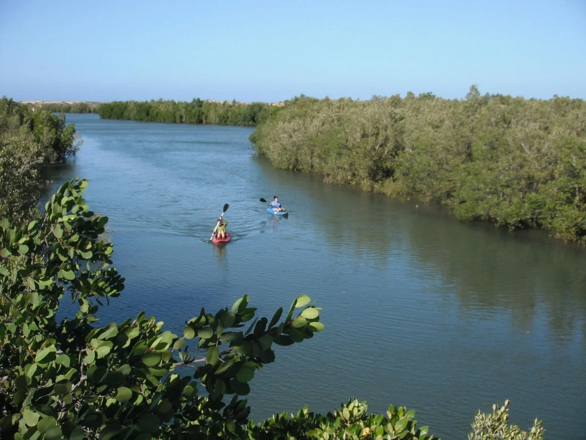 Honko Community-Based Mangrove Reserve