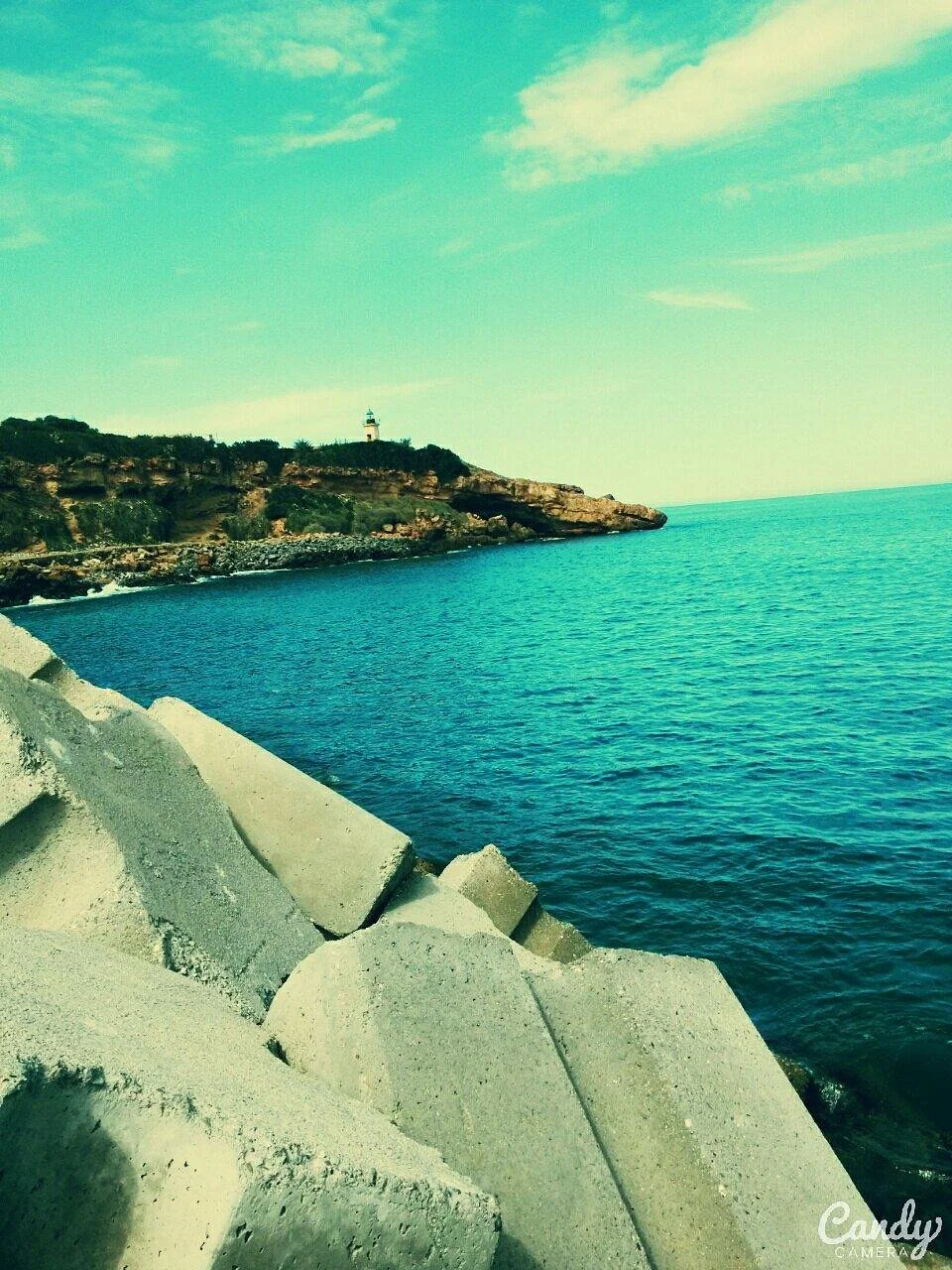 Port de la Madrague