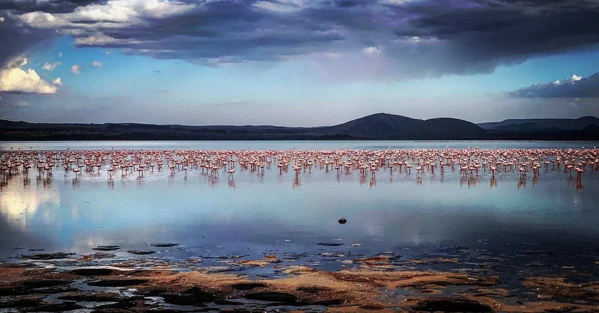 Soysambu Conservancy