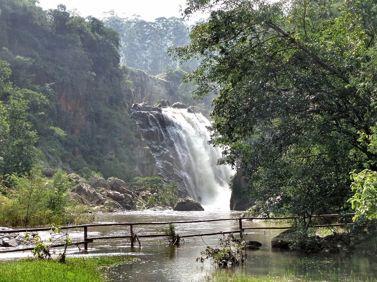 Mantenga Nature Reserve