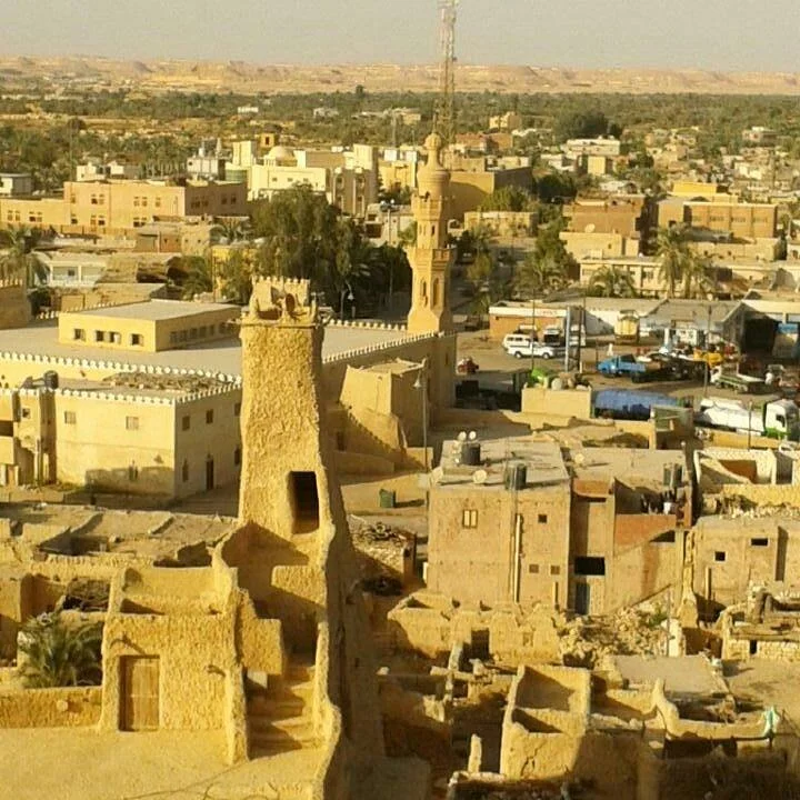Shali Fortress
