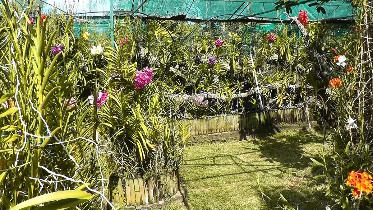 Le Jardin de Vandas