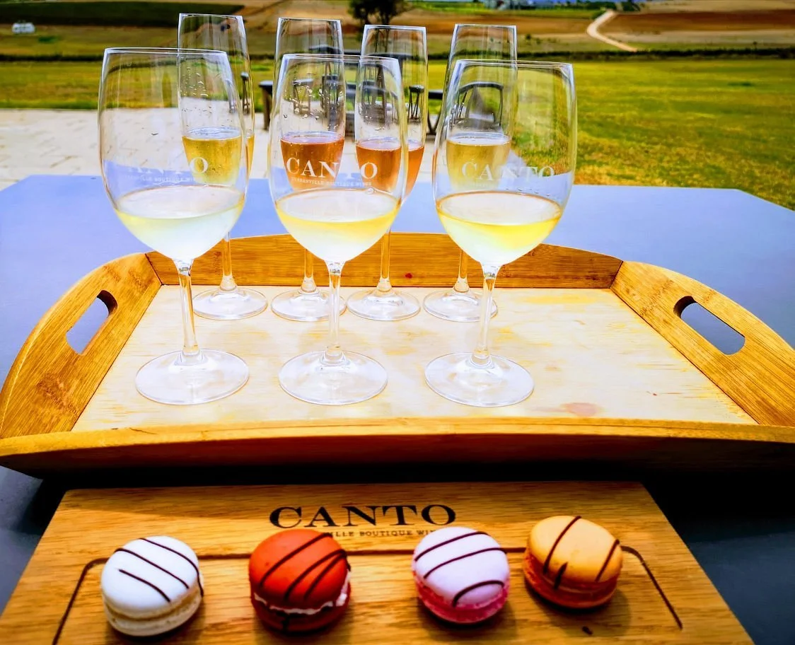Canto Wines