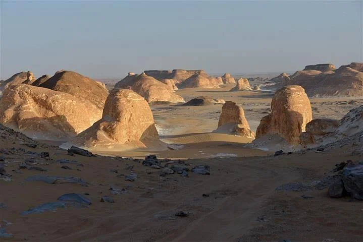 Western Desert