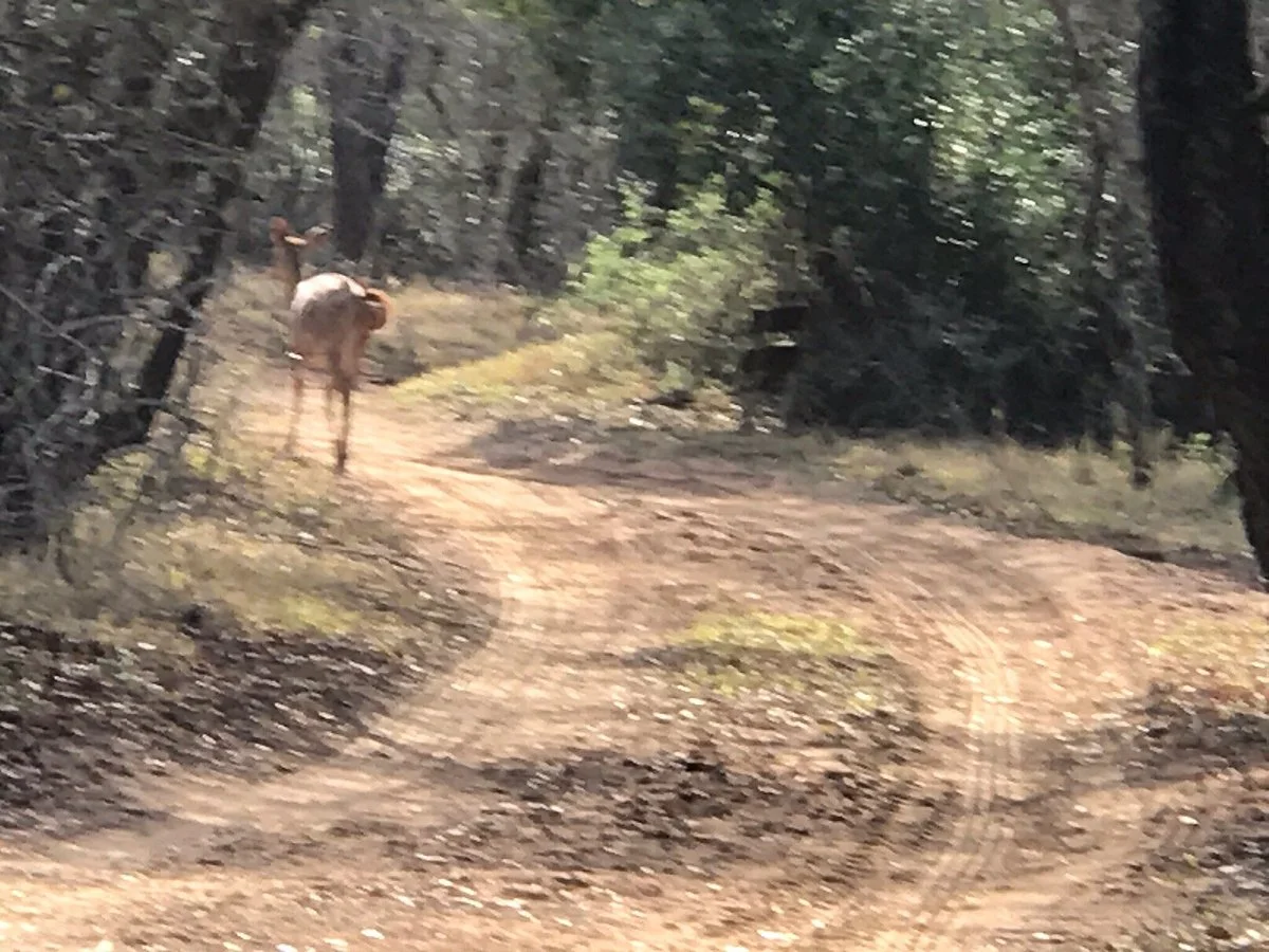 Kuleni Game Park