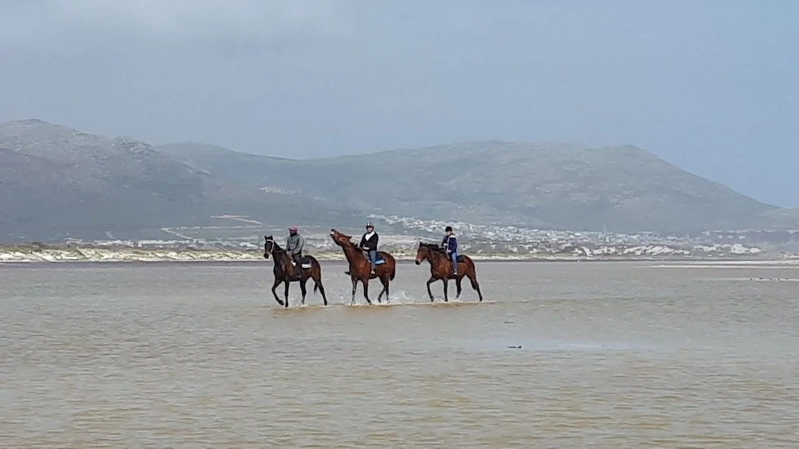 The Dunes Riding and Racing Stables