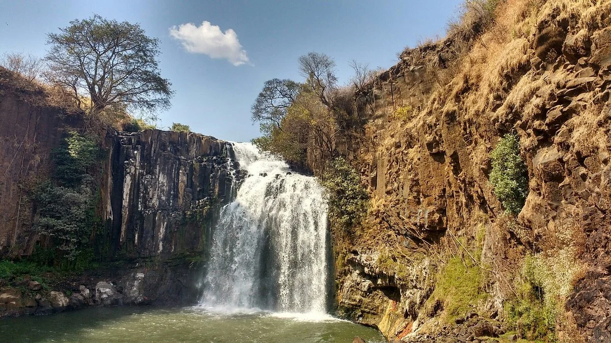 Lily Waterfall