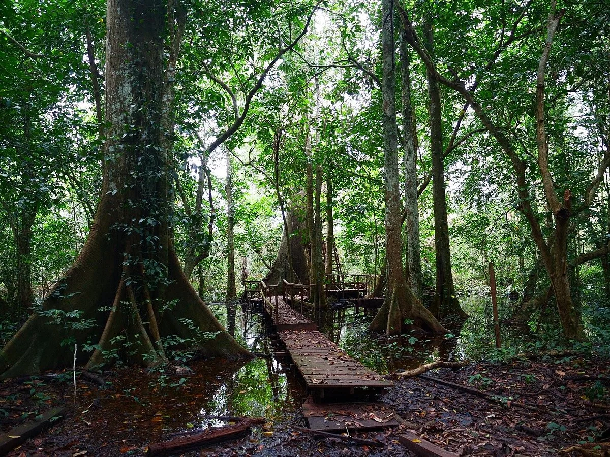Okomu National Park