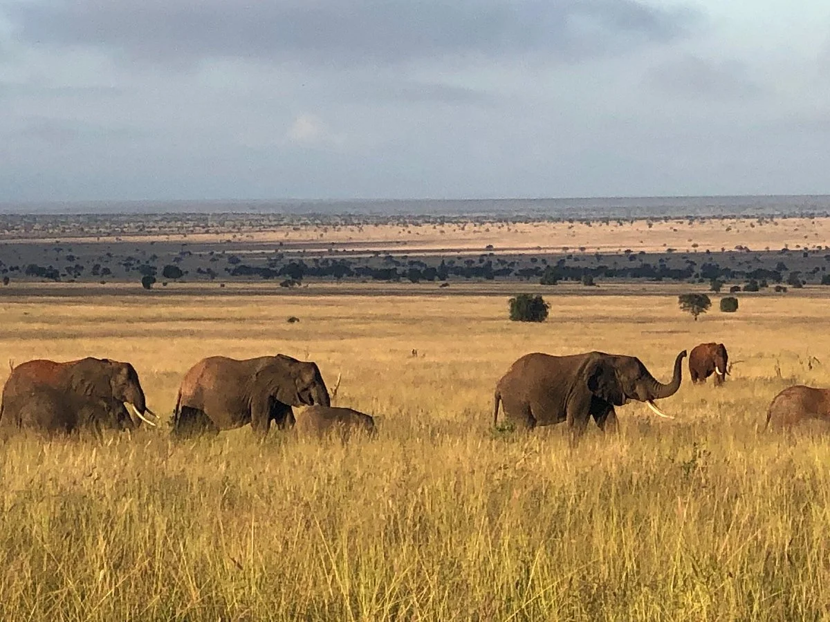 LUMO Community Wildlife Sanctuary