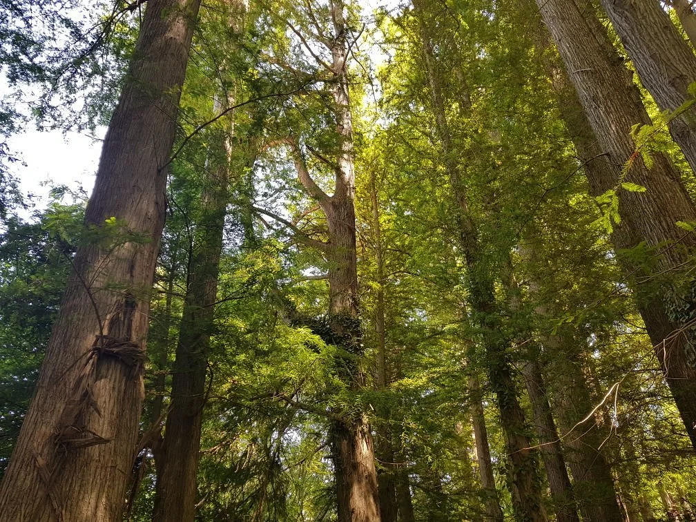 Parc National El Kala
