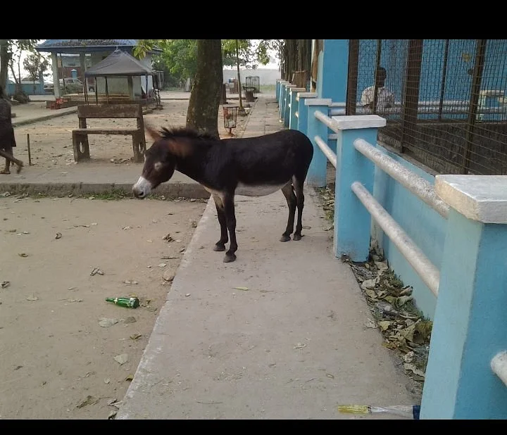 Port Harcourt Zoo