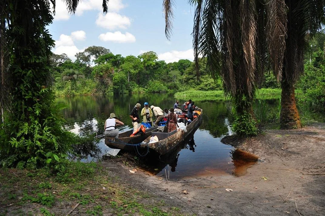 Lomako-Yokokala Faunal Reserve