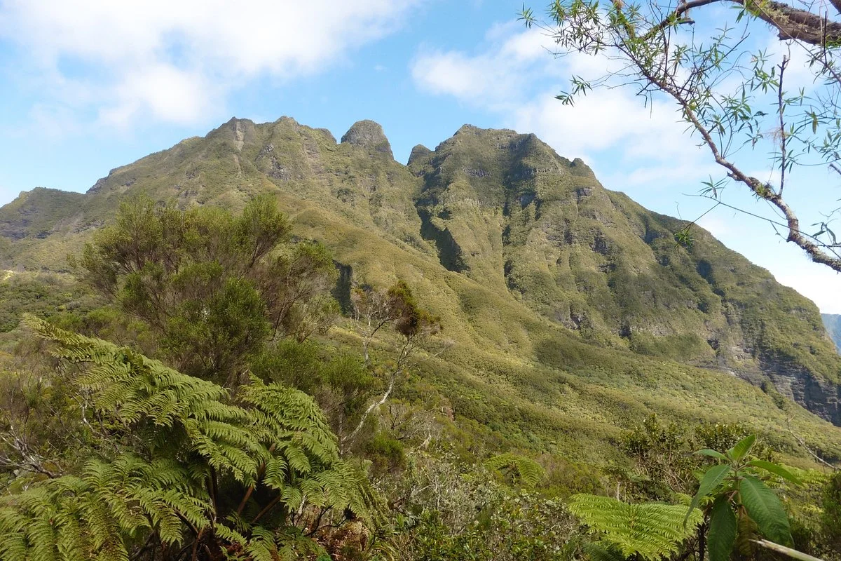 Piton Marmite