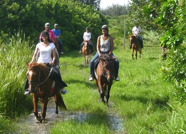 Horseback Beach Rides
