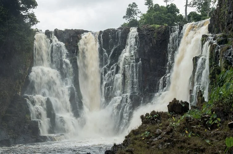 Ivindo National Park
