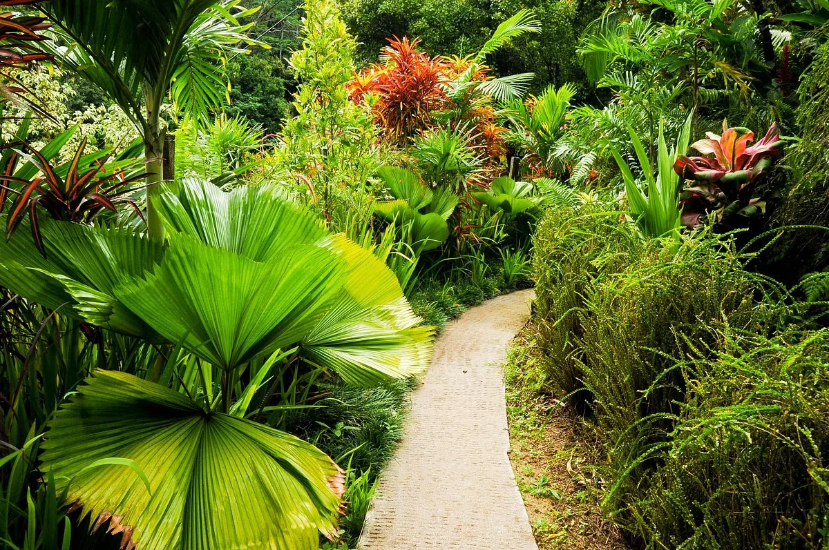 La Misere Exotics Garden Centre
