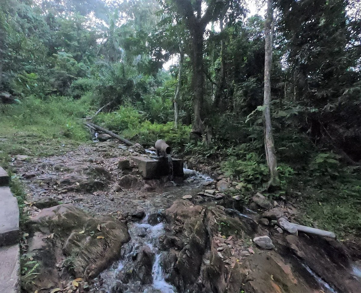 Ikogosi Warm Springs