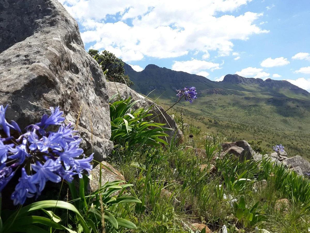 Mount Currie Nature Reserve