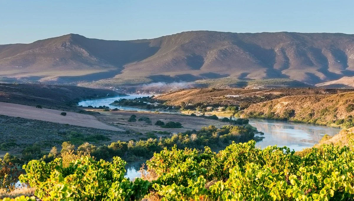 Sijnn Winery