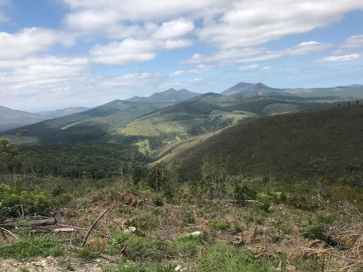 Homtini Mountain Bike Trail