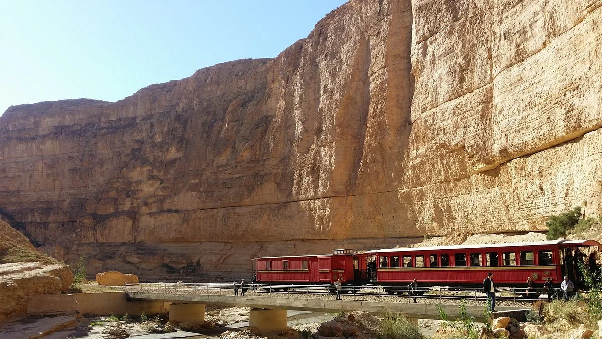 Red Lizard Train