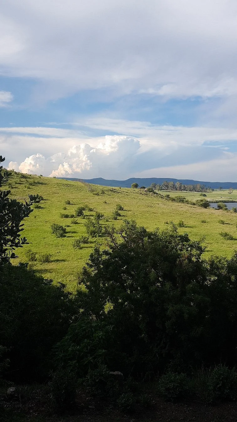 Wakkerstroom Wetland Reserve