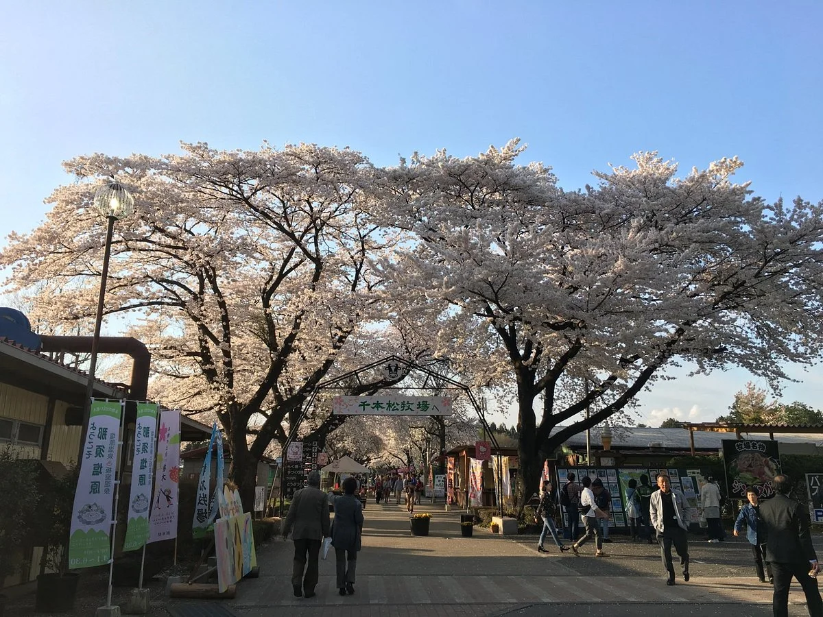 Senbonmatsu Dairy Farm