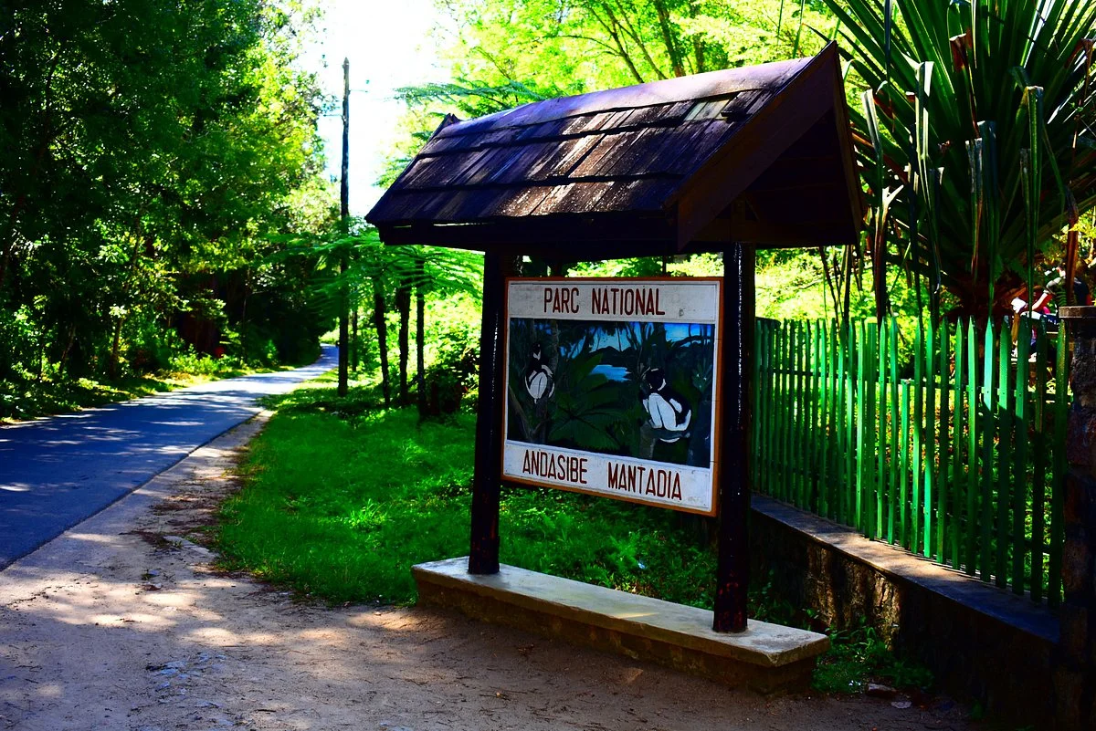 Andasibe-Mantadia National Park
