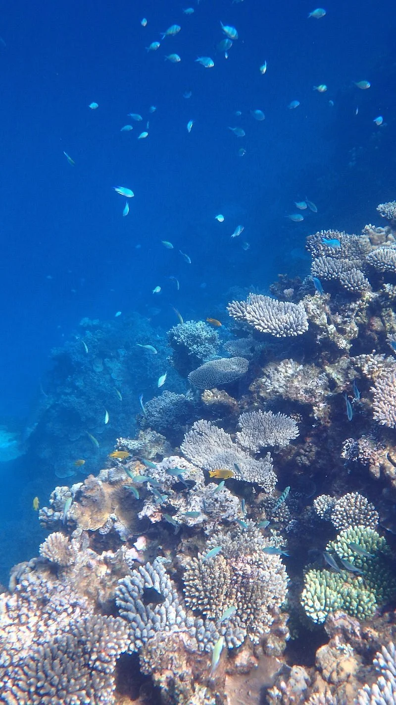 Tahiti Plage