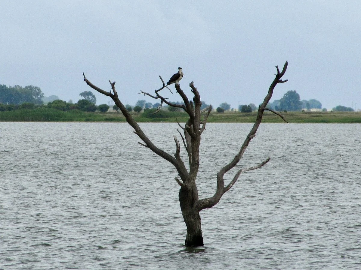Barberspan Bird Sanctuary