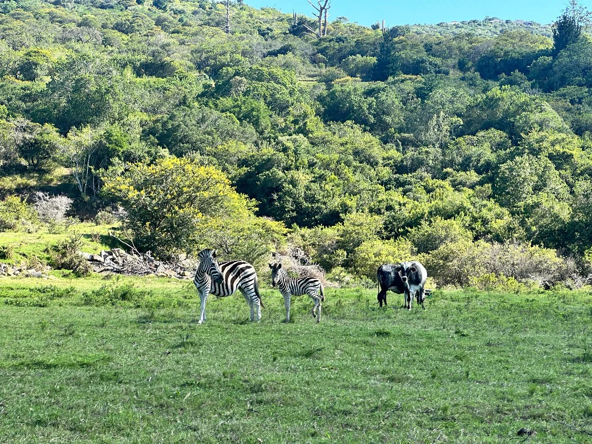 African Dawn Bird and Wildlife Sanctuary