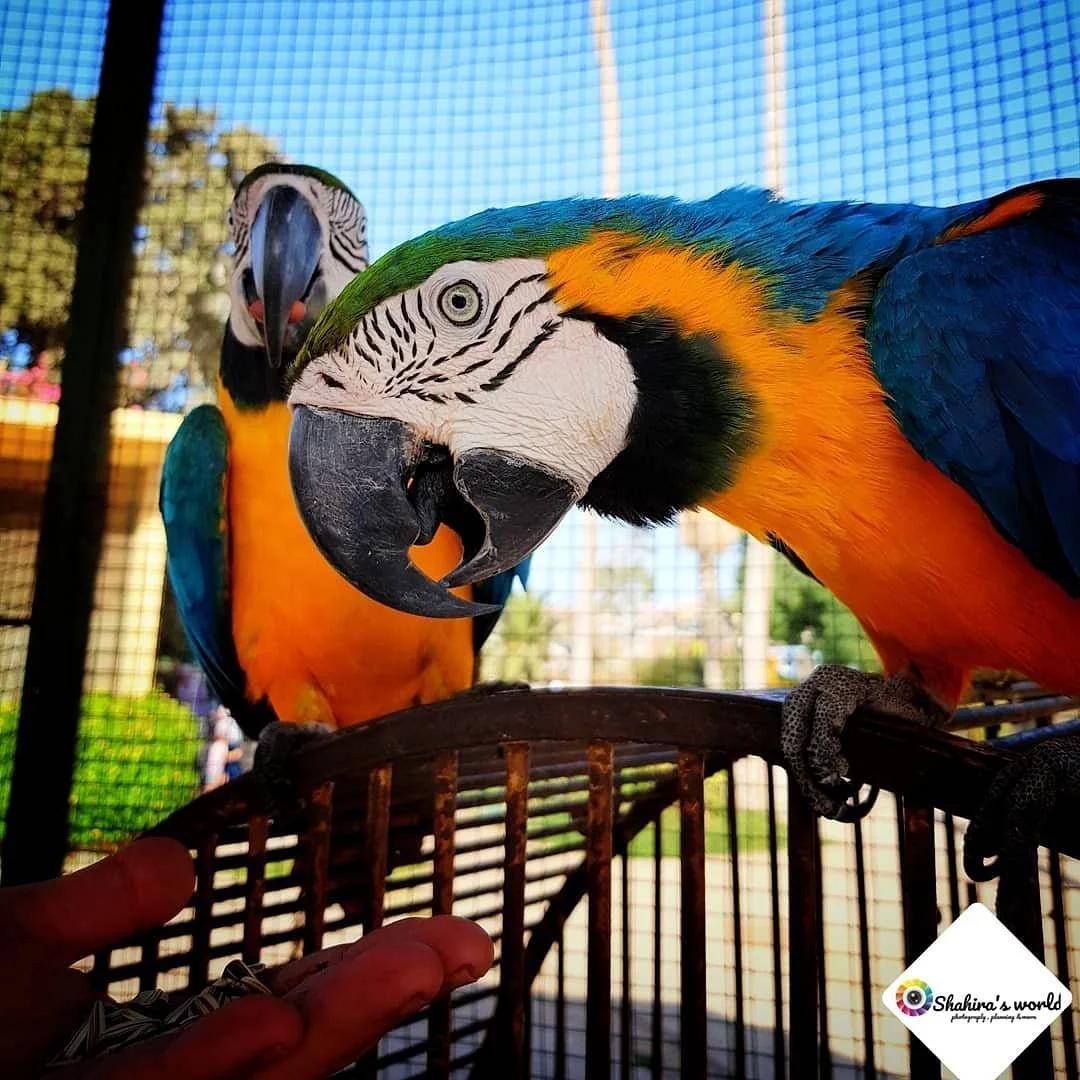 Alexandria Zoo