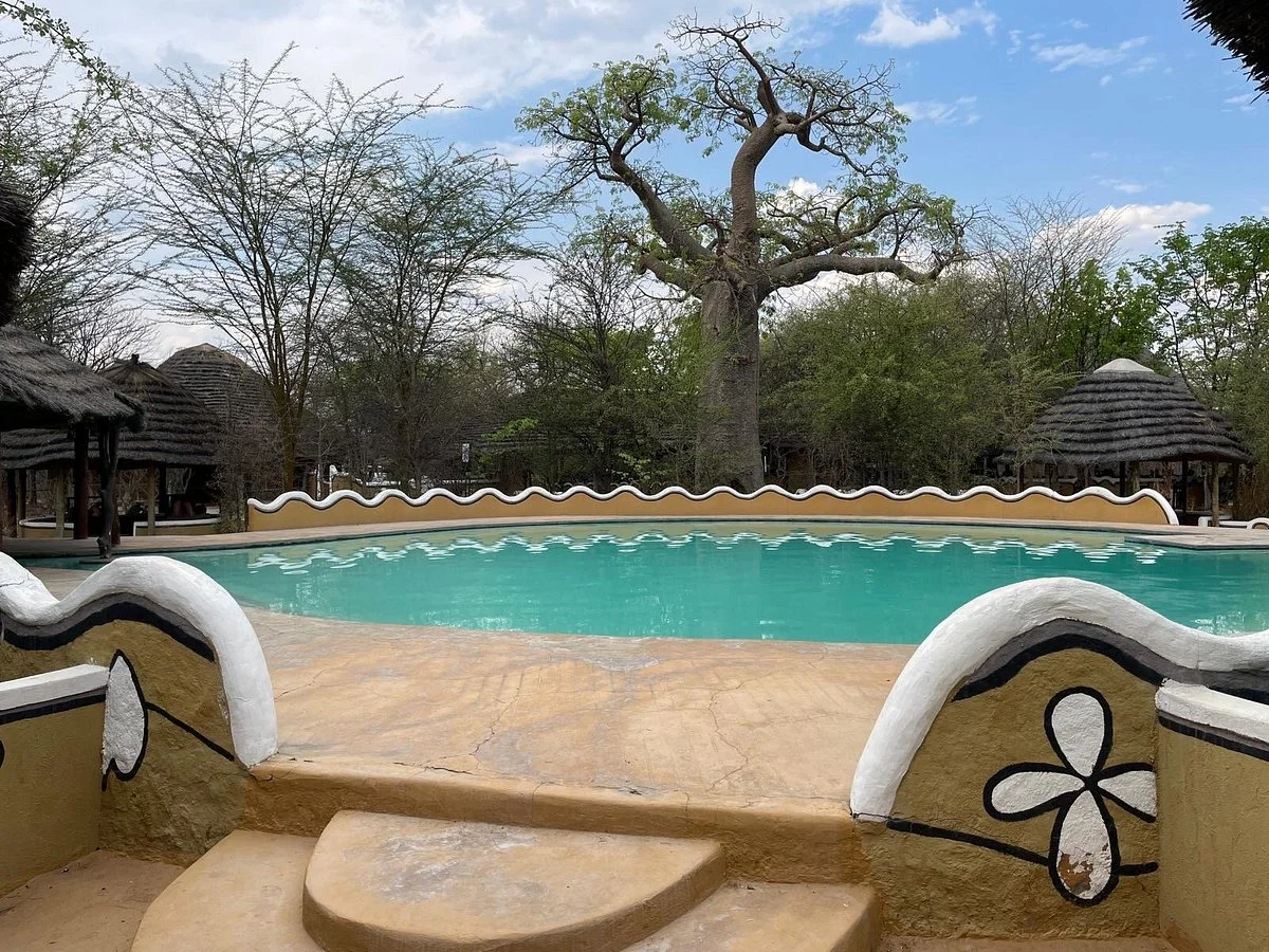 Planet Baobab