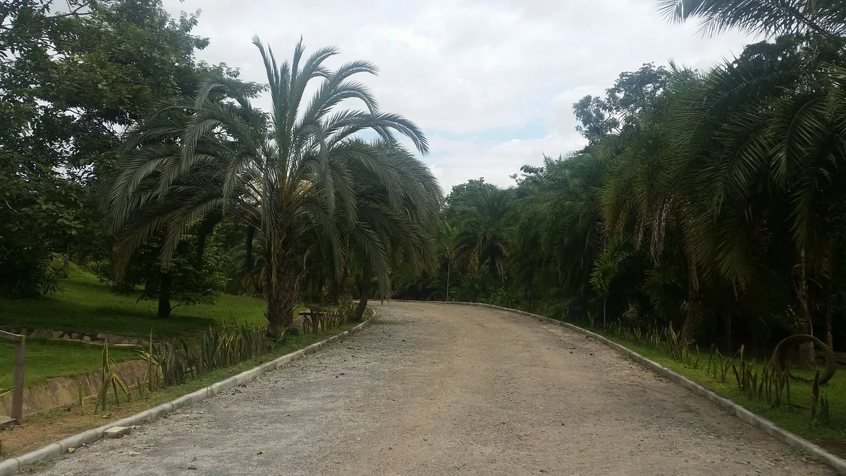 Sarius Palmetum and Botanical Garden