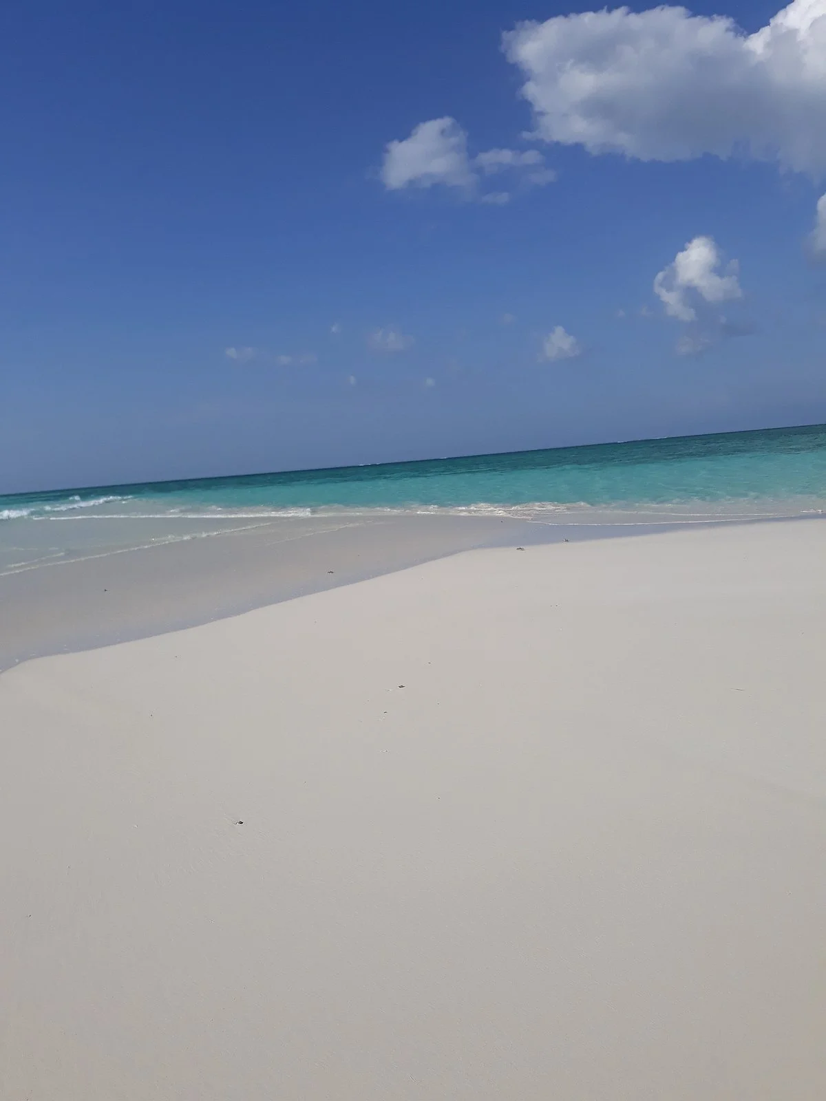 Explore Pemba and Beyond