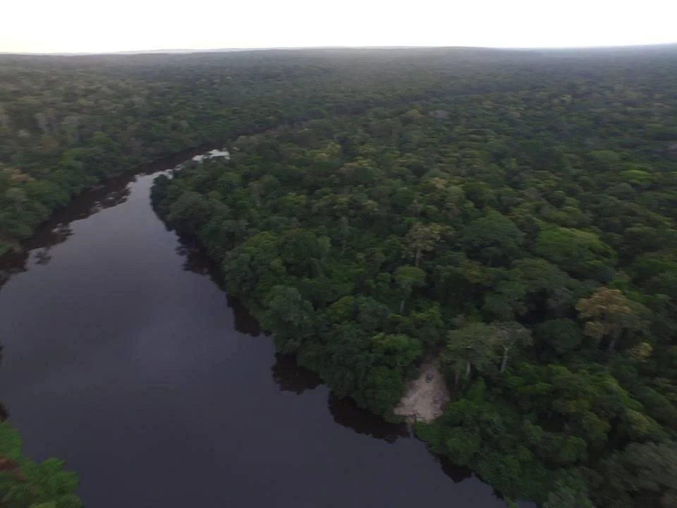 Dja Faunal Reserve