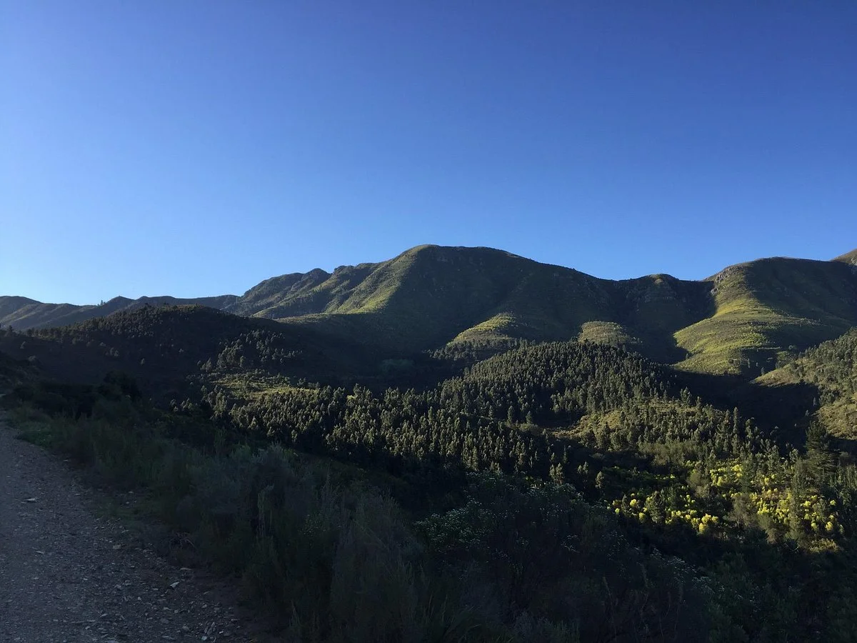 Knysna Timber Route