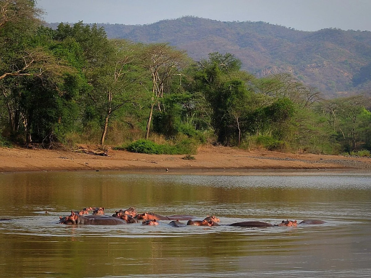 Gibe Sheleko National Park