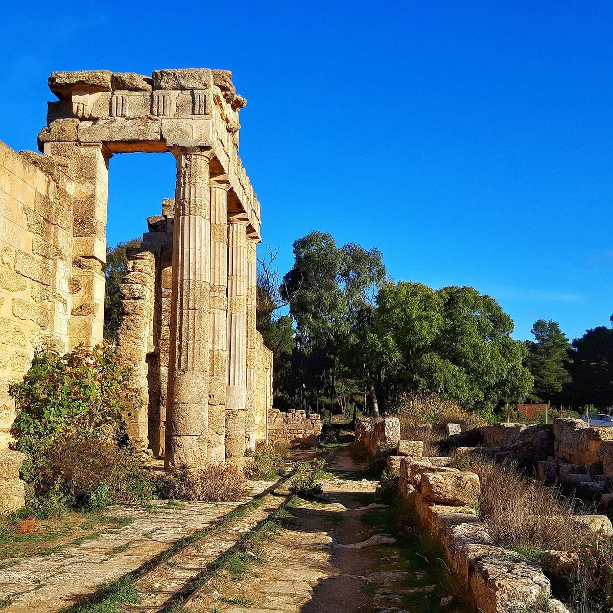 Cyrene