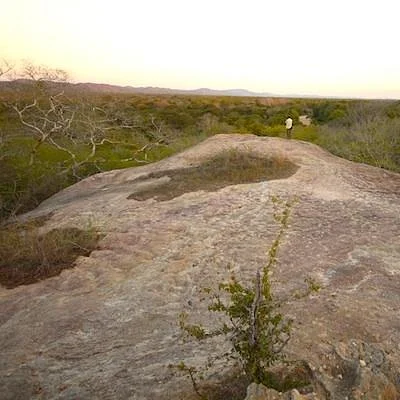 Mwabvi Game Reserve