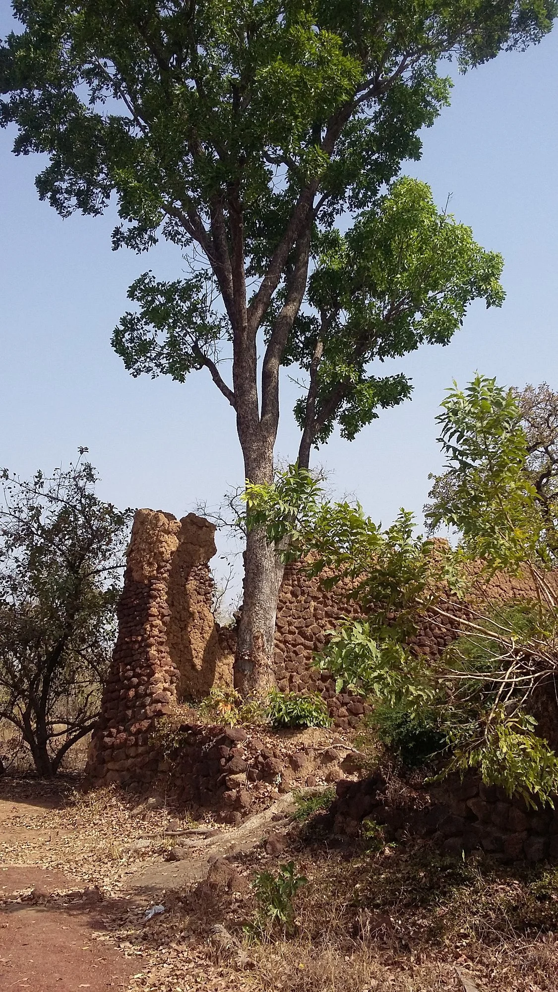 The Ruins of Loropeni