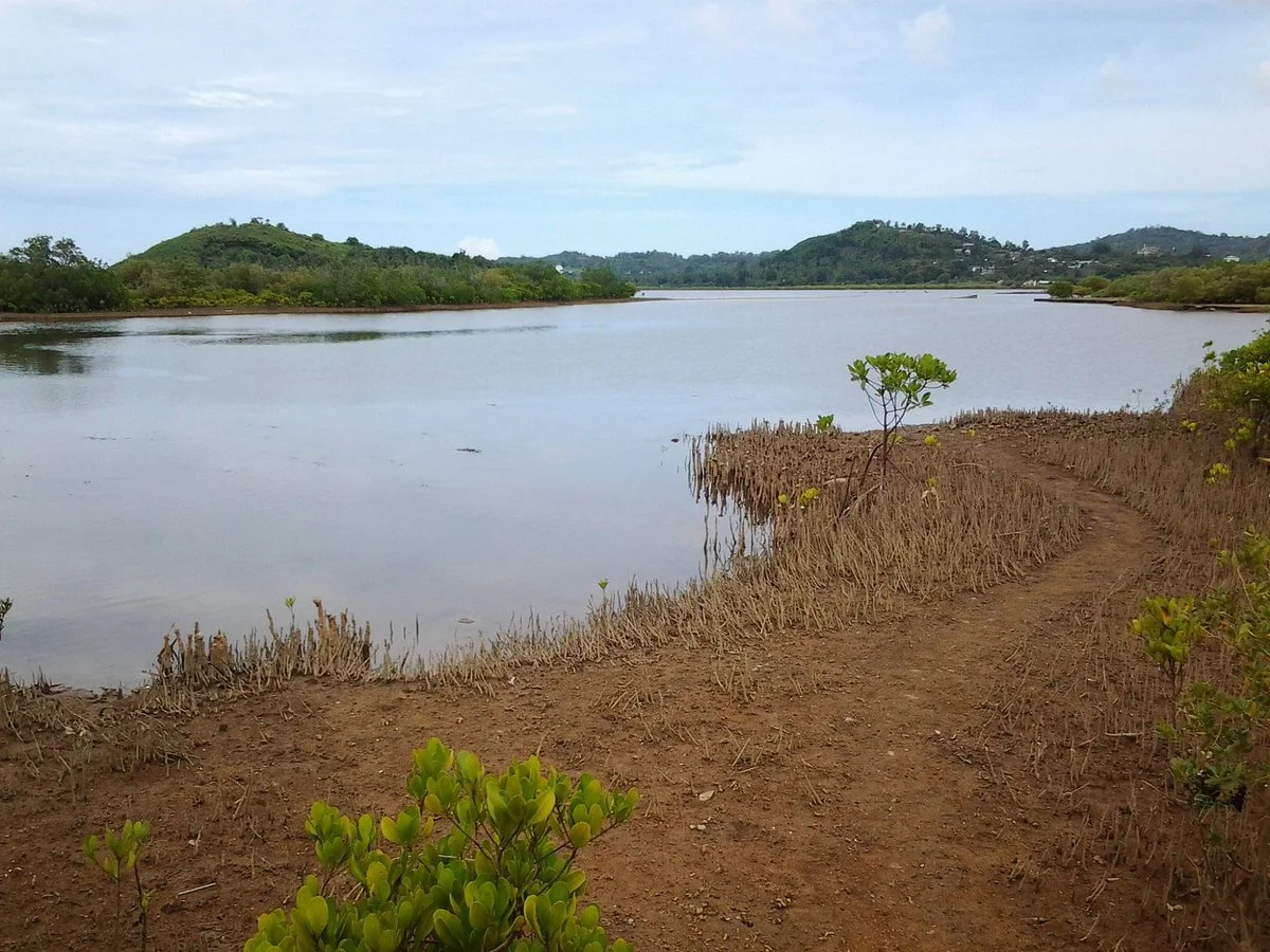 The Mudflat of Badamiers