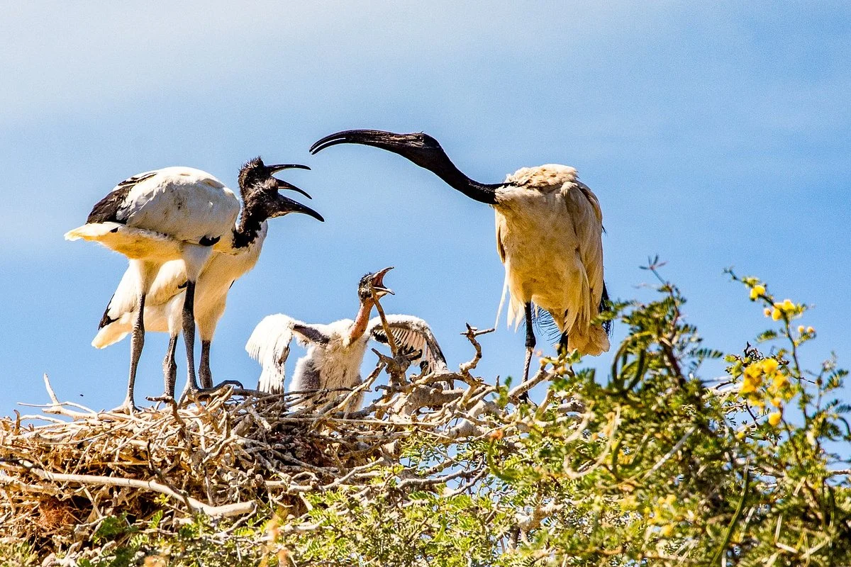 Leidam Bird Sanctuary