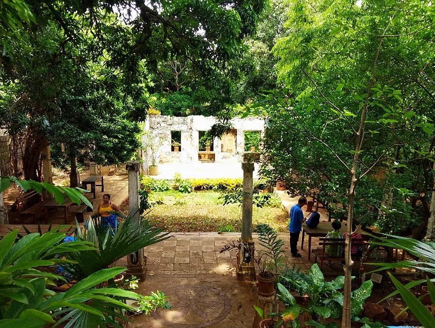 Jardin Tropical