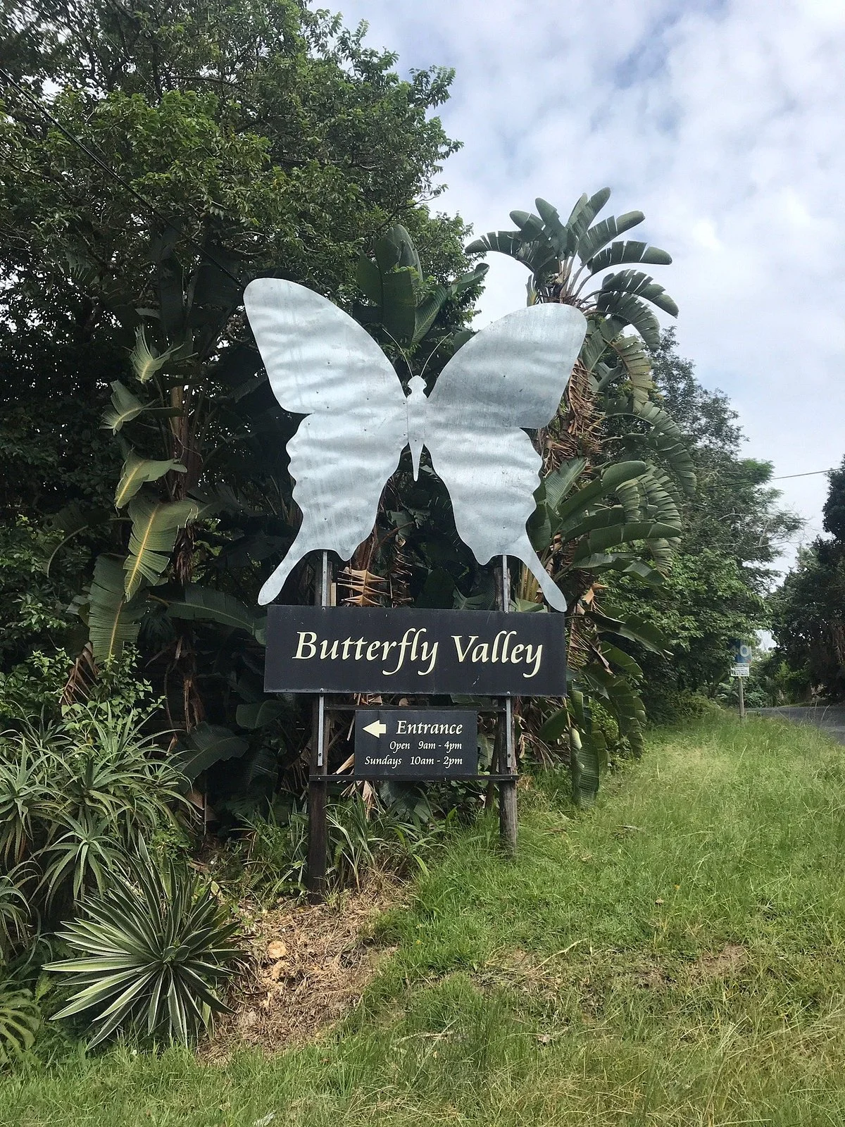 Butterfly Farm