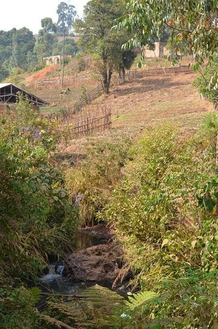 Mount Oku
