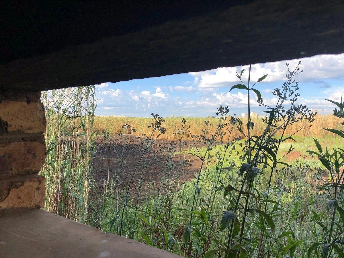 Rondebult Bird Sanctuary