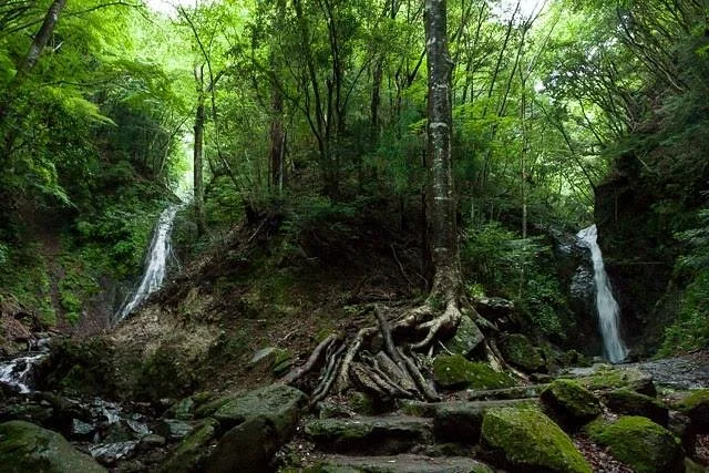 Odaki Medaki Fall