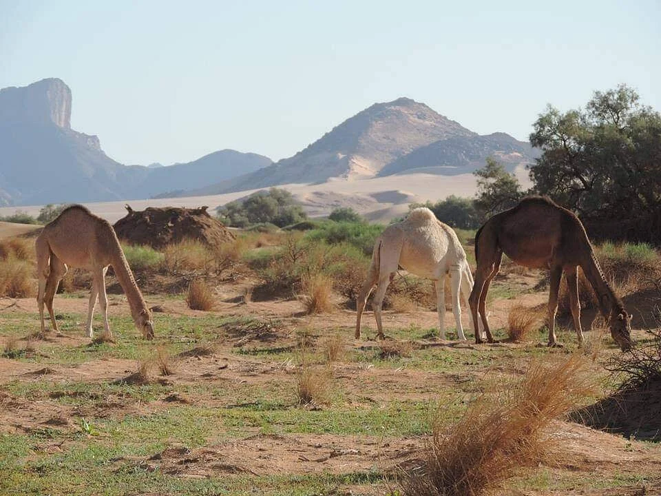 Akakus Desert